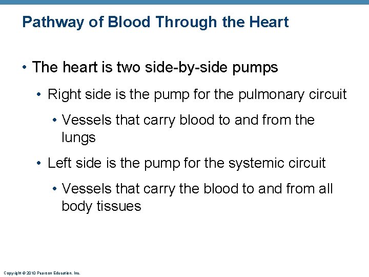 Pathway of Blood Through the Heart • The heart is two side-by-side pumps •