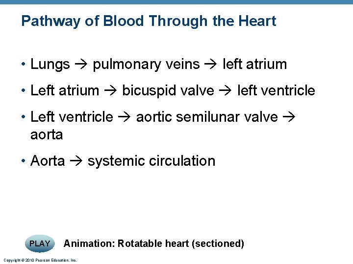 Pathway of Blood Through the Heart • Lungs pulmonary veins left atrium • Left