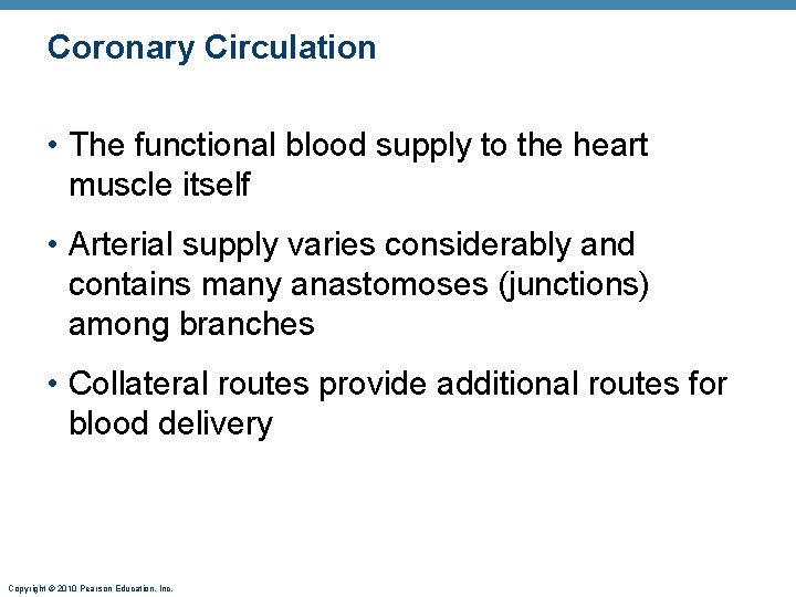 Coronary Circulation • The functional blood supply to the heart muscle itself • Arterial