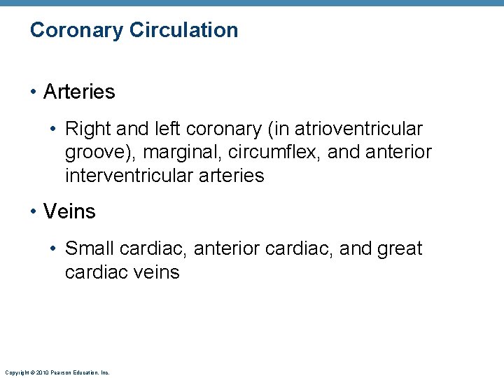 Coronary Circulation • Arteries • Right and left coronary (in atrioventricular groove), marginal, circumflex,