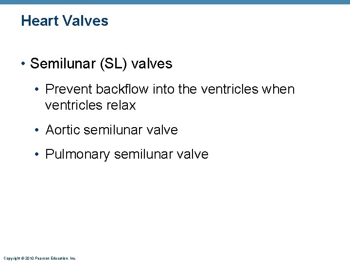 Heart Valves • Semilunar (SL) valves • Prevent backflow into the ventricles when ventricles