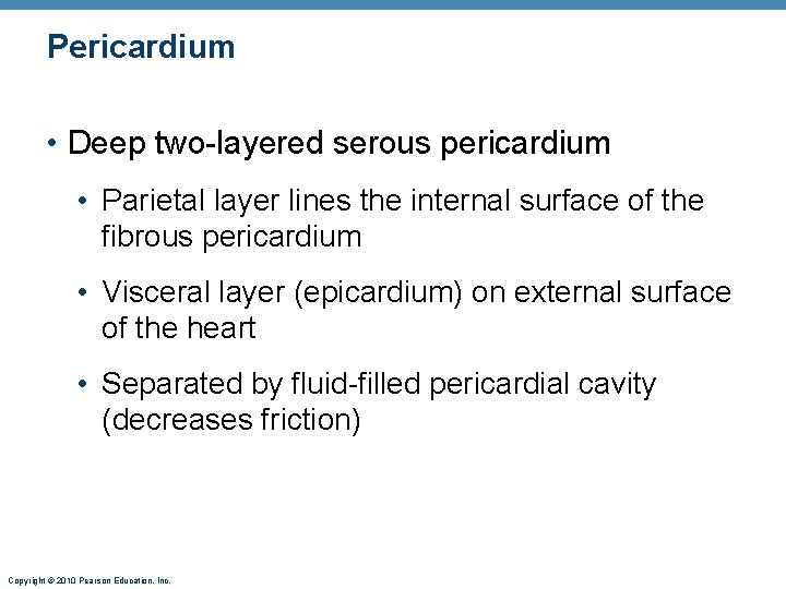 Pericardium • Deep two-layered serous pericardium • Parietal layer lines the internal surface of