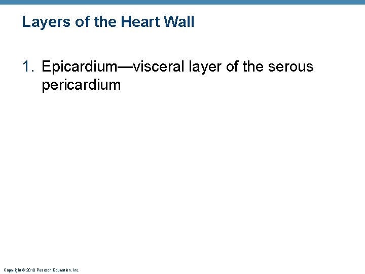 Layers of the Heart Wall 1. Epicardium—visceral layer of the serous pericardium Copyright ©