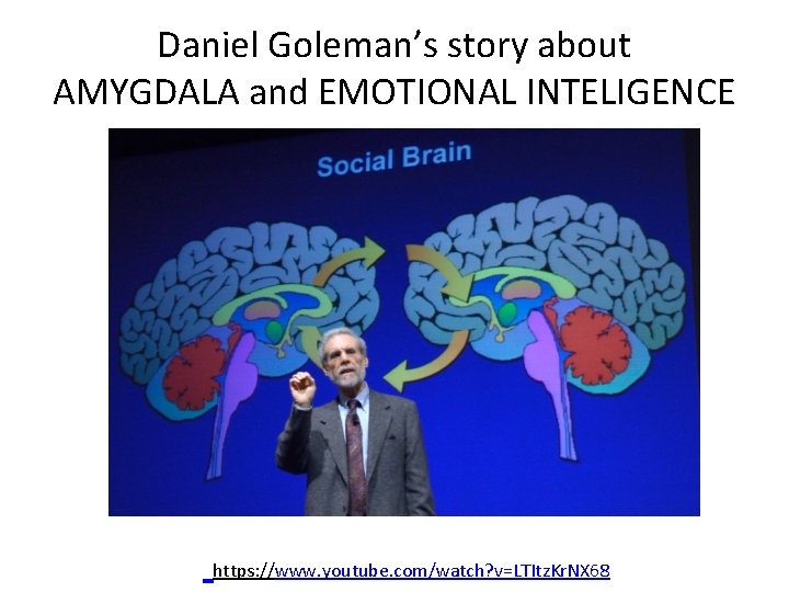 Daniel Goleman’s story about AMYGDALA and EMOTIONAL INTELIGENCE https: //www. youtube. com/watch? v=LTItz. Kr. Daniel Goleman’s story about AMYGDALA and EMOTIONAL INTELIGENCE https: //www. youtube. com/watch? v=LTItz. Kr.