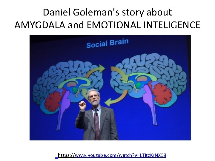 Daniel Goleman’s story about AMYGDALA and EMOTIONAL INTELIGENCE https: //www. youtube. com/watch? v=LTItz. Kr.