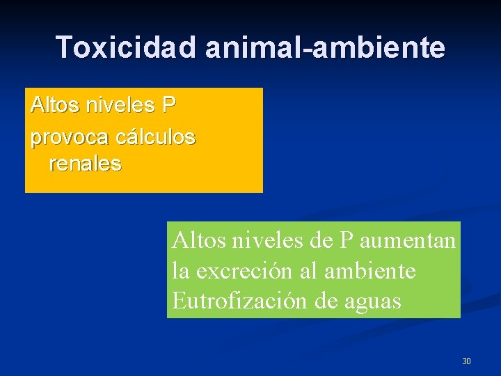 Toxicidad animal-ambiente Altos niveles P provoca cálculos renales Altos niveles de P aumentan la