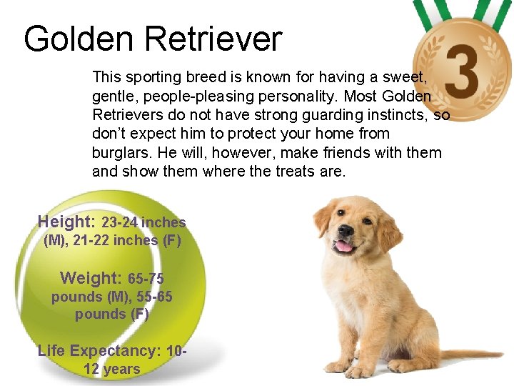 Golden Retriever This sporting breed is known for having a sweet, gentle, people-pleasing personality.