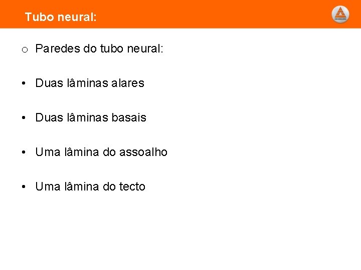 Tubo neural: o Paredes do tubo neural: • Duas lâminas alares • Duas lâminas