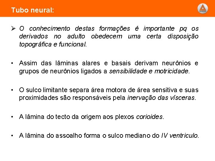 Tubo neural: Ø O conhecimento destas formações é importante pq os derivados no adulto