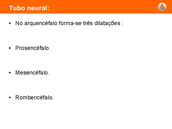 Tubo neural: • No arquencéfalo forma-se três dilatações : • Prosencéfalo. • Mesencéfalo. •