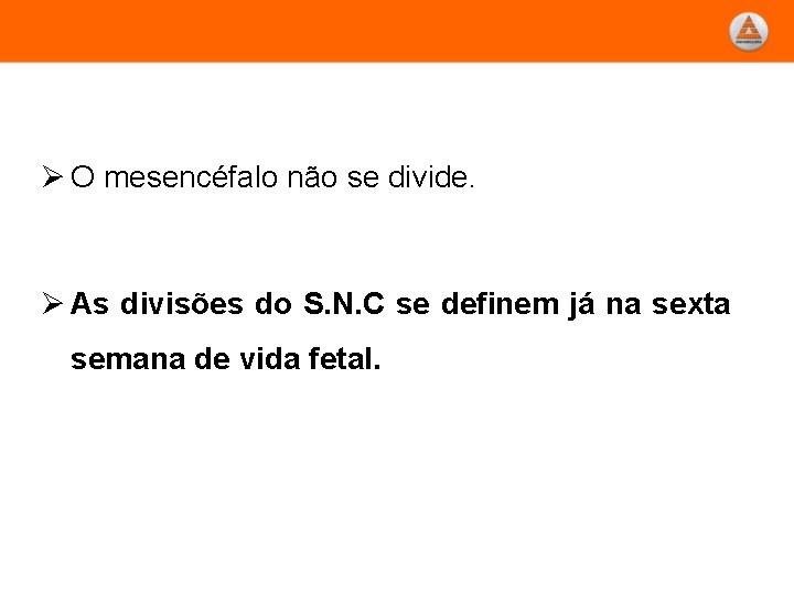 Ø O mesencéfalo não se divide. Ø As divisões do S. N. C se