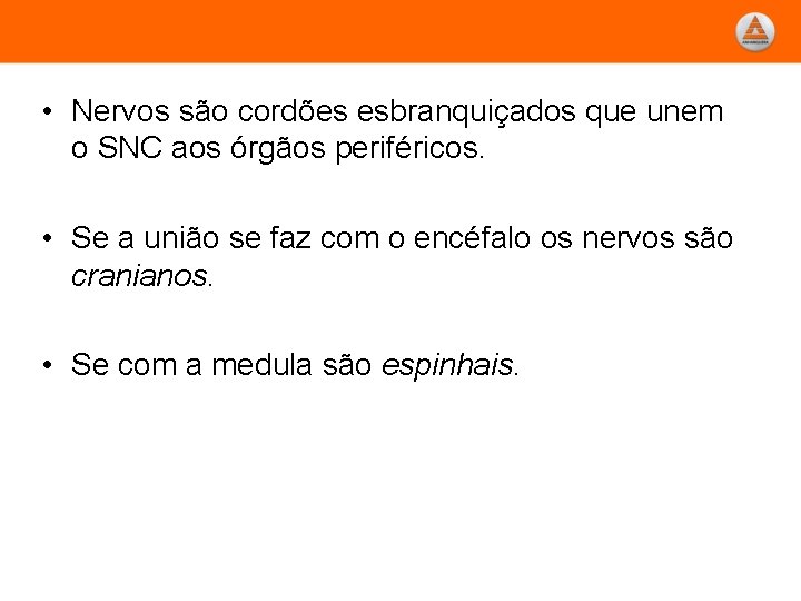  • Nervos são cordões esbranquiçados que unem o SNC aos órgãos periféricos. •