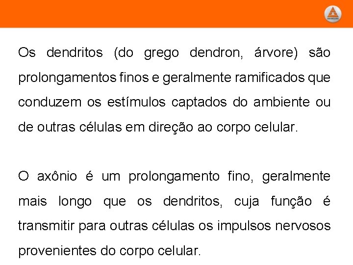 Os dendritos (do grego dendron, árvore) são prolongamentos finos e geralmente ramificados que conduzem