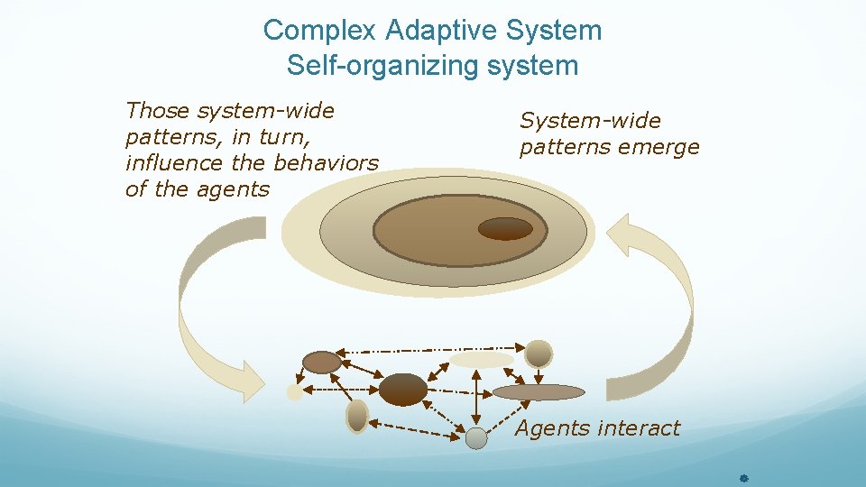 Complex Adaptive System Self-organizing system Those system-wide patterns, in turn, influence the behaviors of