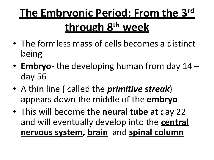 The Embryonic Period: From the 3 rd through 8 th week • The formless