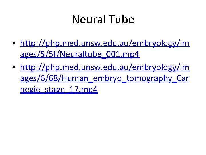 Neural Tube • http: //php. med. unsw. edu. au/embryology/im ages/5/5 f/Neuraltube_001. mp 4 •