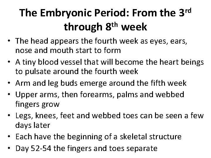 The Embryonic Period: From the 3 rd through 8 th week • The head