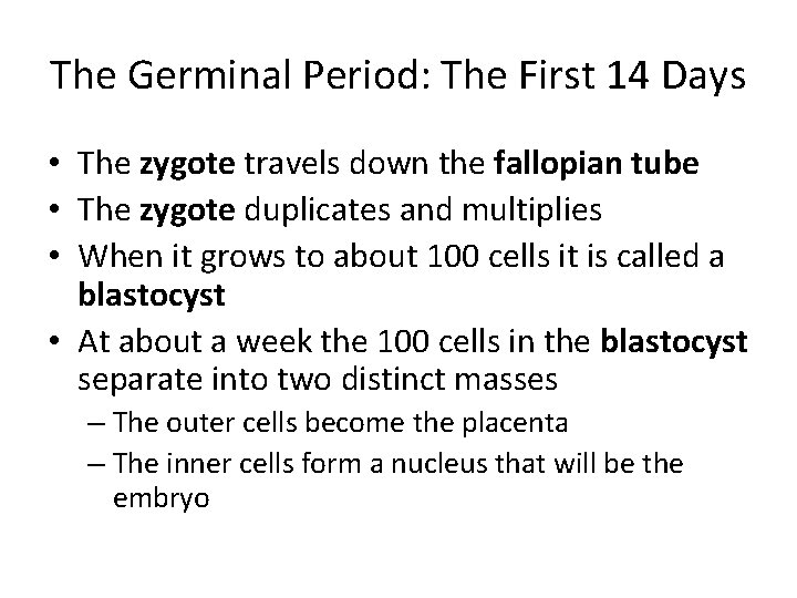 The Germinal Period: The First 14 Days • The zygote travels down the fallopian