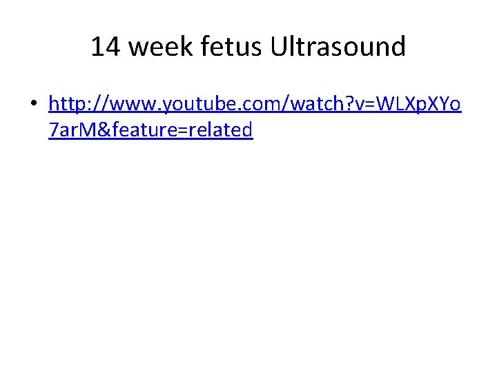 14 week fetus Ultrasound • http: //www. youtube. com/watch? v=WLXp. XYo 7 ar. M&feature=related