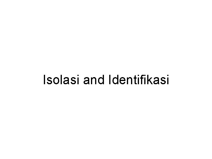 Isolasi and Identifikasi 