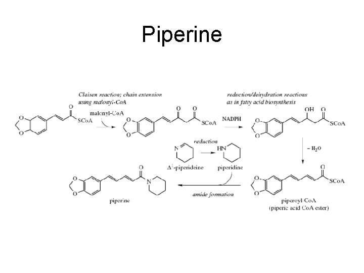 Piperine 