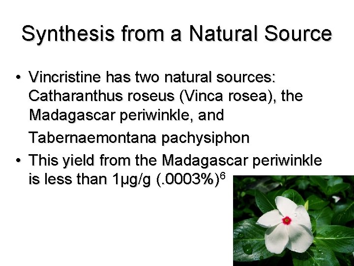 Synthesis from a Natural Source • Vincristine has two natural sources: Catharanthus roseus (Vinca