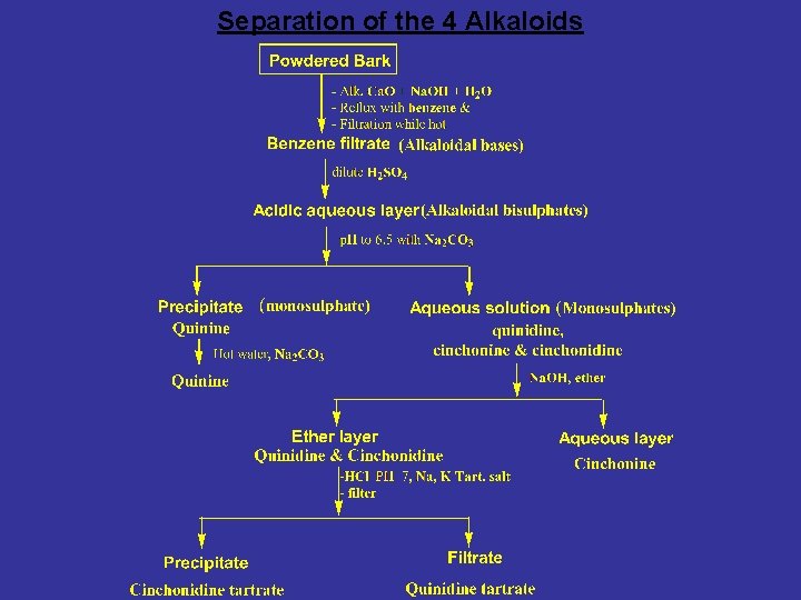 Separation of the 4 Alkaloids 