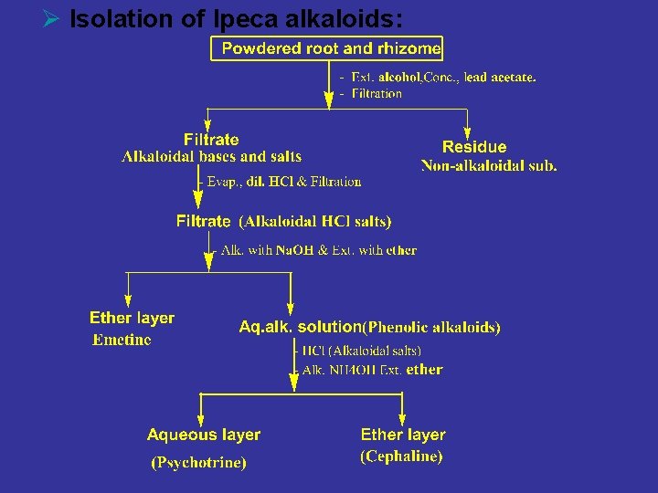 Ø Isolation of Ipeca alkaloids: 