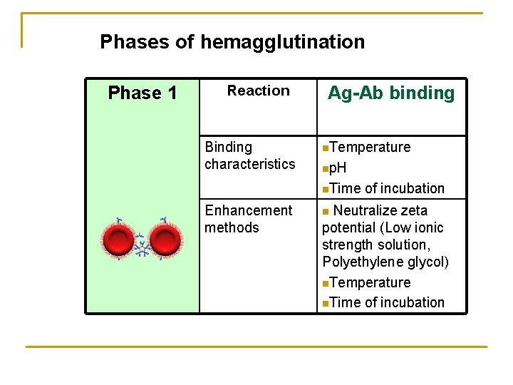 Phases of hemagglutination Phase 1 Reaction Binding characteristics Ag-Ab binding n. Temperature np. H