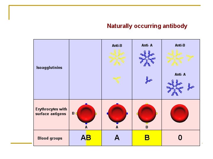 Naturally occurring antibody 