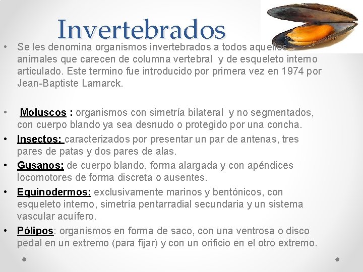 Invertebrados • Se les denomina organismos invertebrados a todos aquellos animales que carecen de