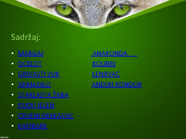 Sadržaj: • • MARGAJ ANAKONDA OCELOT KOLIBRI GRIVASTI VUK LENJIVAC ARMADILO ANDSKI KONDOR STAKLASTA