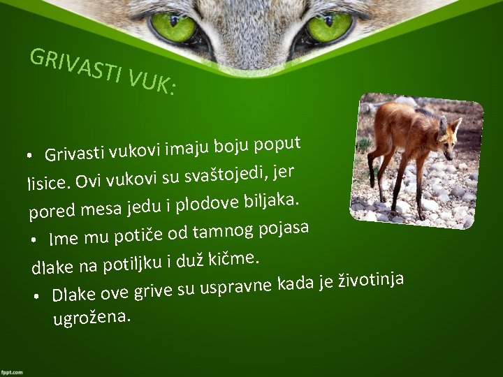 GRIVA STI VU K: put o p ju o b ju a im i