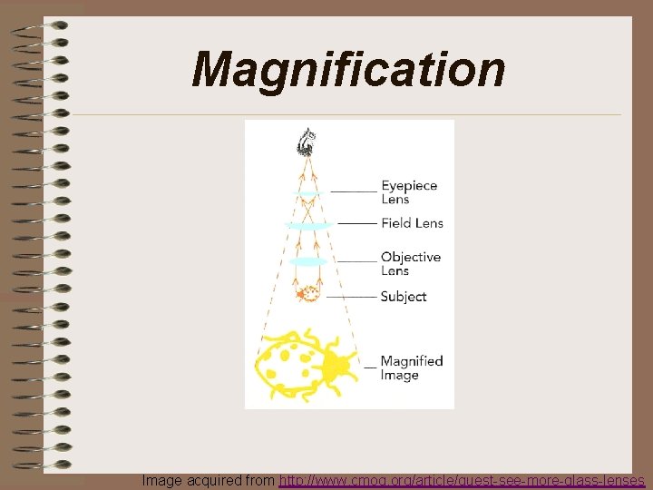 Magnification Image acquired from http: //www. cmog. org/article/quest-see-more-glass-lenses 