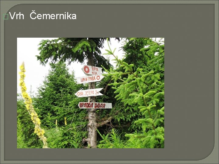 �Vrh Čemernika 