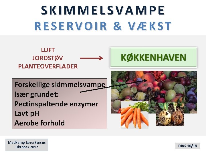 SKIMMELSVAMPE RESERVOIR & VÆKST LUFT JORDSTØV PLANTEOVERFLADER Forskellige skimmelsvampe Især grundet: Pectinspaltende enzymer Lavt