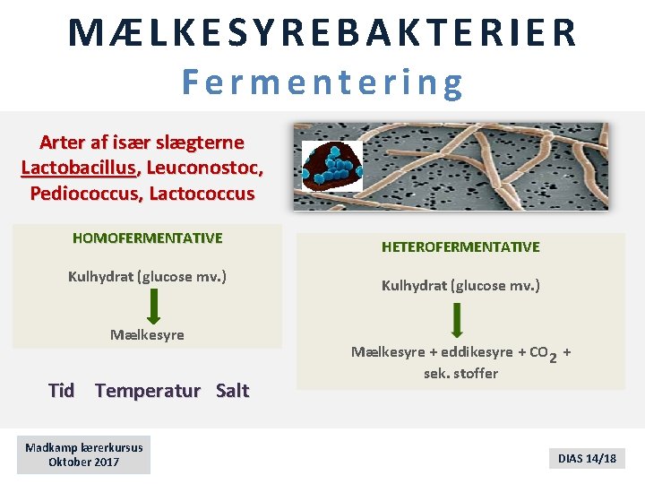 MÆLKESYREBAKTERIER Fermentering Arter af især slægterne Lactobacillus, Leuconostoc, Pediococcus, Lactococcus HOMOFERMENTATIVE Kulhydrat (glucose mv.