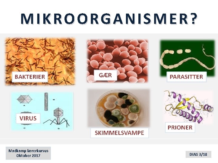 MIKROORGANISMER? Madkamp lærerkursus Oktober 2017 DIAS 3/18 