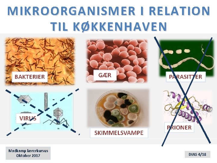 MIKROORGANISMER I RELATION TIL KØKKENHAVEN Madkamp lærerkursus Oktober 2017 DIAS 4/18 