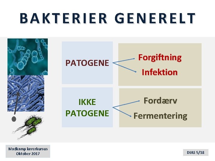 BAKTERIER GENERELT PATOGENE IKKE PATOGENE Madkamp lærerkursus Oktober 2017 Forgiftning Infektion Fordærv Fermentering DIAS