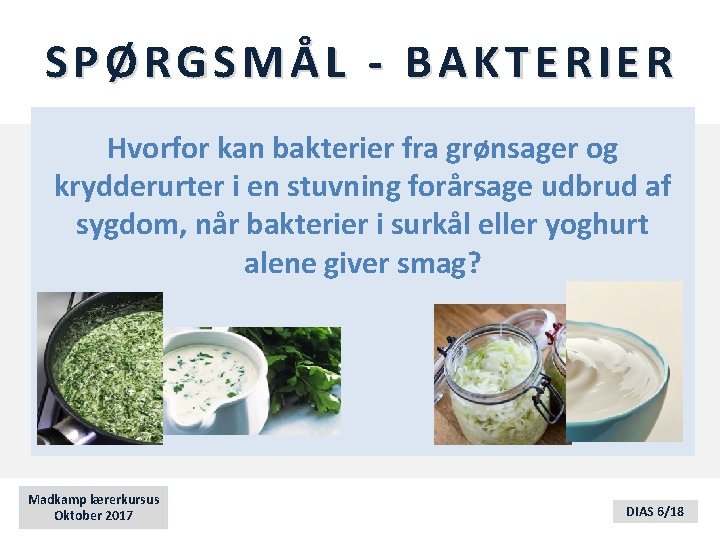 SPØRGSMÅL - BAKTERIER Hvorfor kan bakterier fra grønsager og krydderurter i en stuvning forårsage