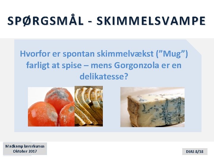 SPØRGSMÅL - SKIMMELSVAMPE Hvorfor er spontan skimmelvækst (”Mug”) farligt at spise – mens Gorgonzola