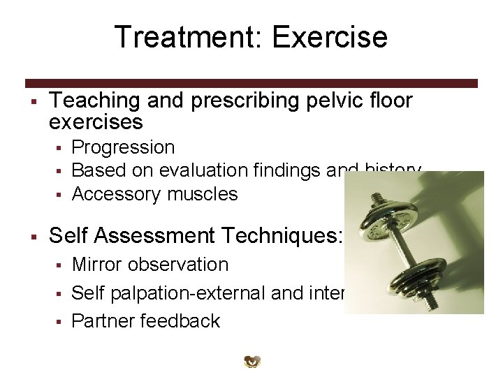 Treatment: Exercise § Teaching and prescribing pelvic floor exercises § § Progression Based on Treatment: Exercise § Teaching and prescribing pelvic floor exercises § § Progression Based on