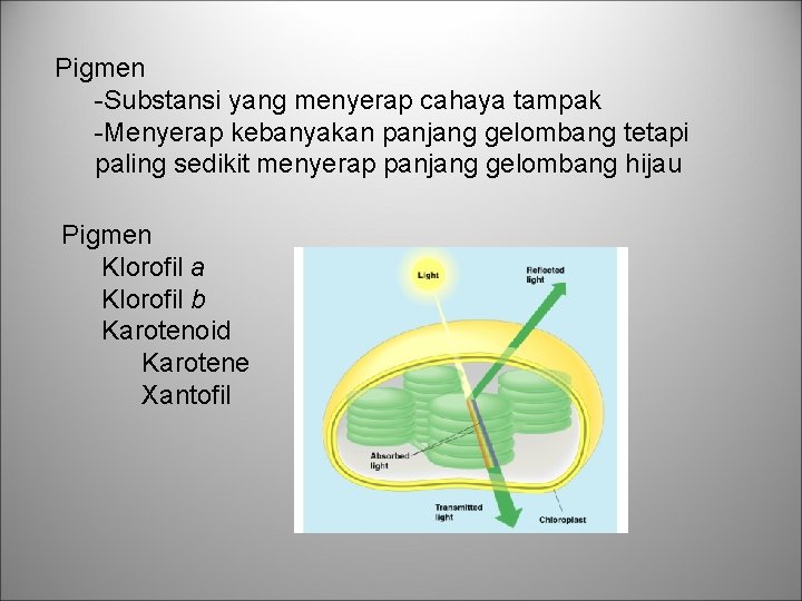 Pigmen -Substansi yang menyerap cahaya tampak -Menyerap kebanyakan panjang gelombang tetapi paling sedikit menyerap