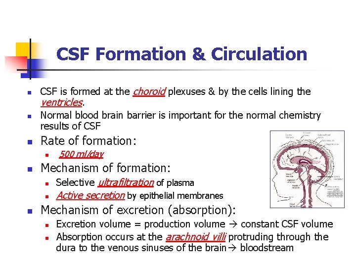 CSF Formation & Circulation n CSF is formed at the choroid plexuses & by CSF Formation & Circulation n CSF is formed at the choroid plexuses & by