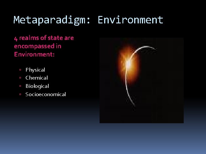 Metaparadigm: Environment 4 realms of state are encompassed in Environment: Physical Chemical Biological Socioeconomical