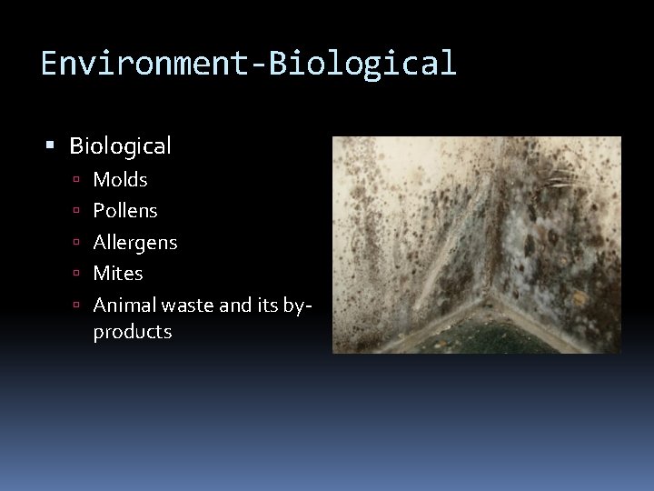 Environment-Biological Molds Pollens Allergens Mites Animal waste and its by- products 
