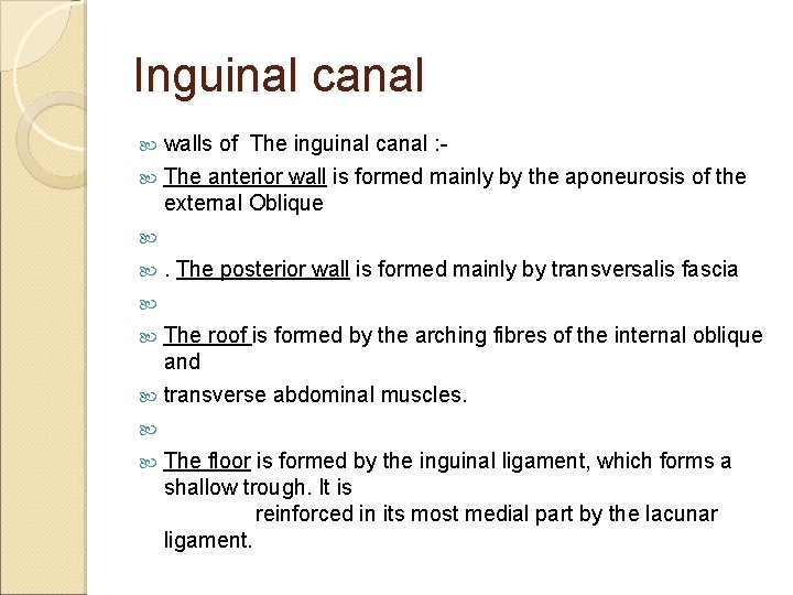 Inguinal canal walls of The inguinal canal : The anterior wall is formed mainly
