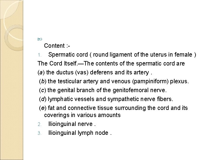  Content : Spermatic cord ( round ligament of the uterus in female )