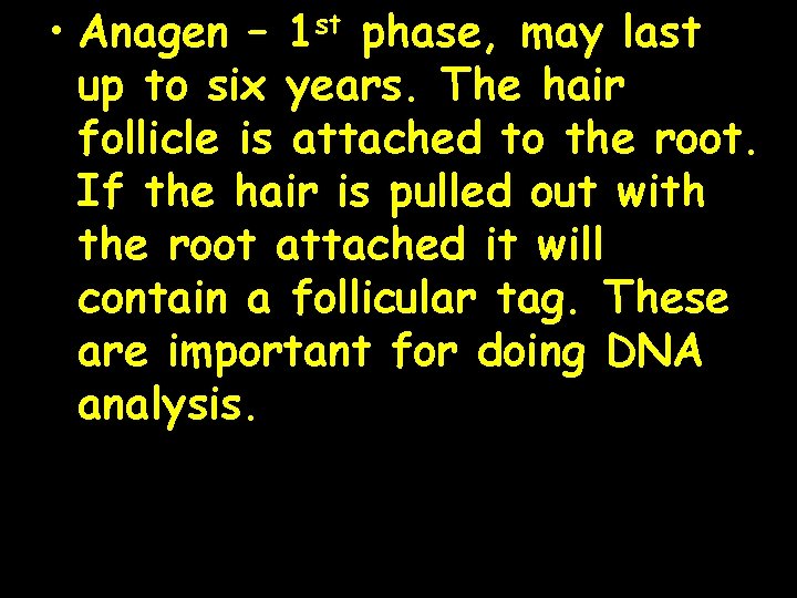  • Anagen – 1 st phase, may last up to six years. The